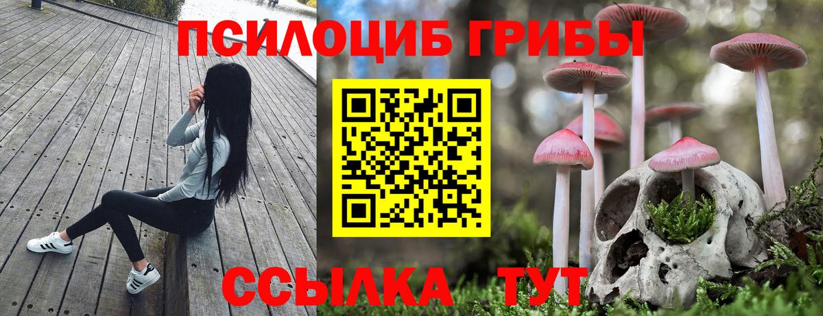 Псилоцибиновые грибы Magic Shrooms  Галлюциногенные грибы мухоморы  Ковров  Вход с VPN 